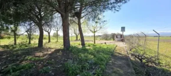 Terrain à Valdeolmos-Alalpardo, Spain 3808m² No. 139802 14