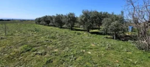 Terrain à Valdeolmos-Alalpardo, Spain 3808m² No. 139802 32