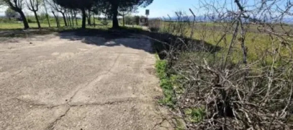 Terrain à Valdeolmos-Alalpardo, Spain 3808m² No. 139802 9