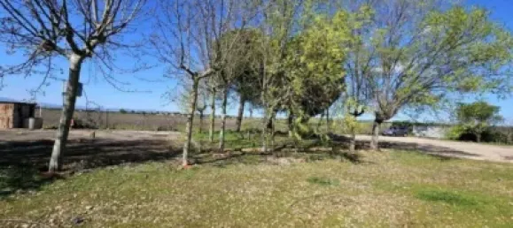Terrain à Valdeolmos-Alalpardo, Spain 3808m² No. 139802 70