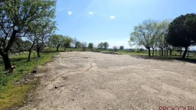 Terrain à Valdeolmos-Alalpardo, Spain 3808m² No. 139802