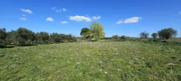 Terrain à Valdeolmos-Alalpardo, Spain 3808m² No. 139802 42
