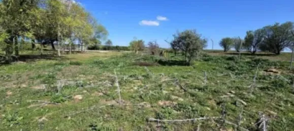 Terrain à Valdeolmos-Alalpardo, Spain 3808m² No. 139802 44