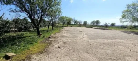 Terrain à Valdeolmos-Alalpardo, Spain 3808m² No. 139802 84