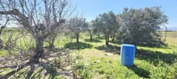 Terrain à Valdeolmos-Alalpardo, Spain 3808m² No. 139802 20