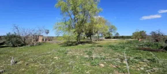 Terrain à Valdeolmos-Alalpardo, Spain 3808m² No. 139802 45