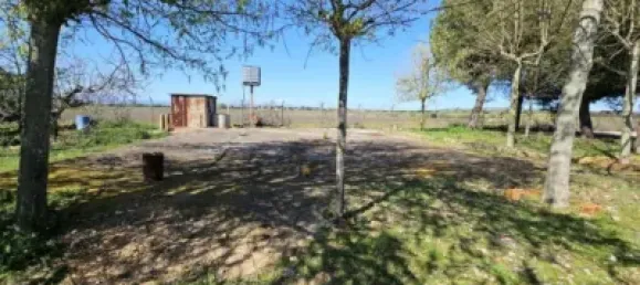 Terrain à Valdeolmos-Alalpardo, Spain 3808m² No. 139802 47