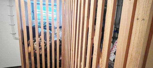 2 chambres Appartement à Nurnberger Land, Germany No. 210851 28