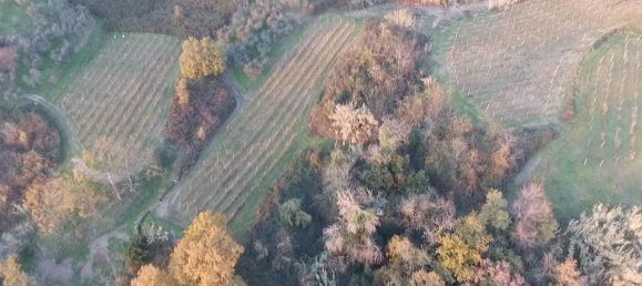 Studio in Capannori, Italy, Nr. 1507 3