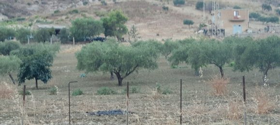 18000m² Land in Agrigento, Italy No. 255871 3