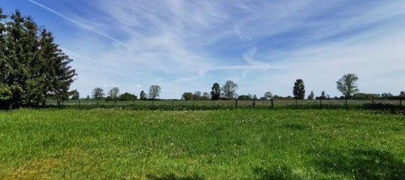 4 rooms House in Vorpommern-Greifswald, Germany No. 174765 9