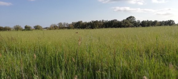 Земельный участок в Террачина, Италия № 323135 3