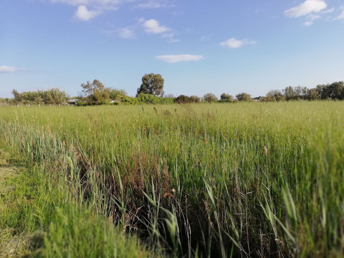 Земельный участок в Террачина, Италия № 323135