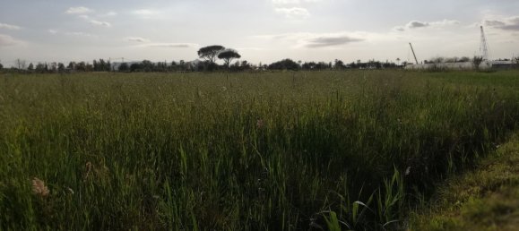 Земельный участок в Террачина, Италия № 323135 7