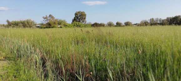 Земельный участок в Террачина, Италия № 323135 6