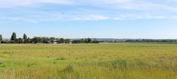 6 bedrooms Townhouse in Coswig, Germany No. 319892 3