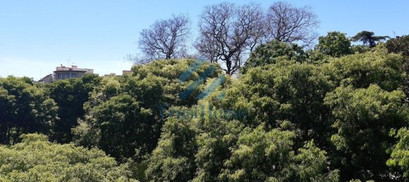 1 Schlafzimmer Wohnung in Lisbon, Portugal, Nr. 153990 18