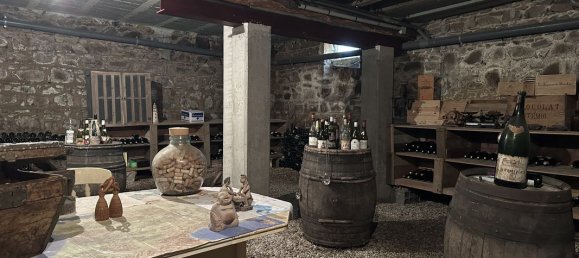 8 Schlafzimmer Haus in Saint-Etienne-des-Oullieres, France, Nr. 271839 12