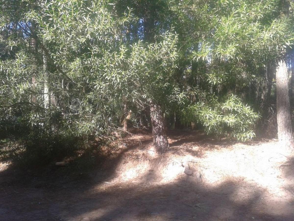  Land in Mar del Plata, Argentina No. 112892