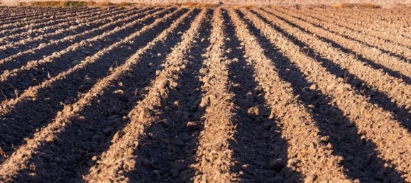 3-Zimmer Wohnung in Meda, Italy, Nr. 8576 17