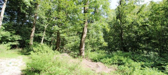  Land in Linz, Austria No. 193445 9