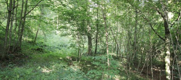  Land in Linz, Austria No. 193445 3