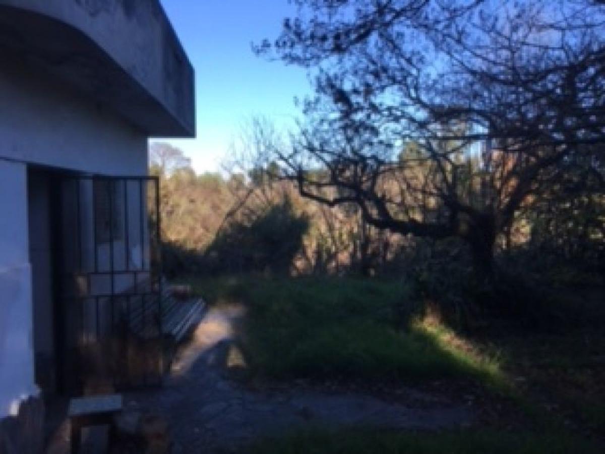 Granja en Santa Fe, Argentina No. 49435