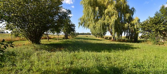 1 bedroom Townhouse in Stendal, Germany No. 134315 6