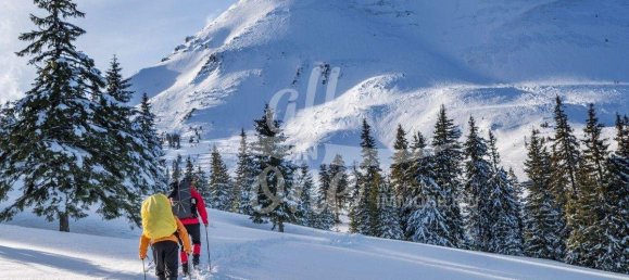  Land in Bad Kleinkirchheim, Austria No. 215157 2