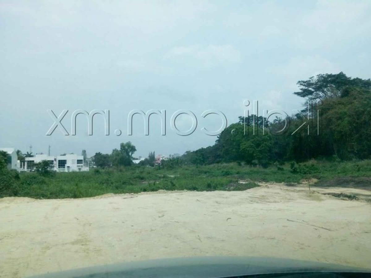  Land in Veracruz, Mexico No. 202809