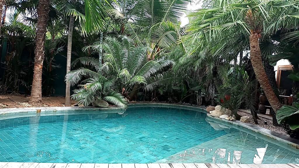 3 bedrooms Cafe / restaurant in Hua Hin, Thailand No. 6289