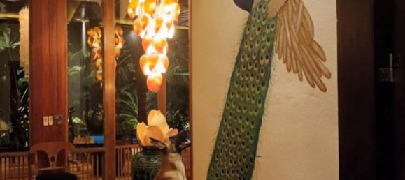 3 bedrooms Cafe / restaurant in Hua Hin, Thailand No. 6289 12