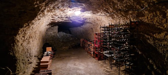 4 Schlafzimmer Haus in Orleans, France, Nr. 70369 21