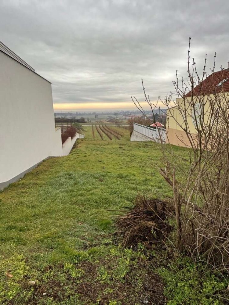  Land in Purbach am Neusiedler See, Austria No. 71710