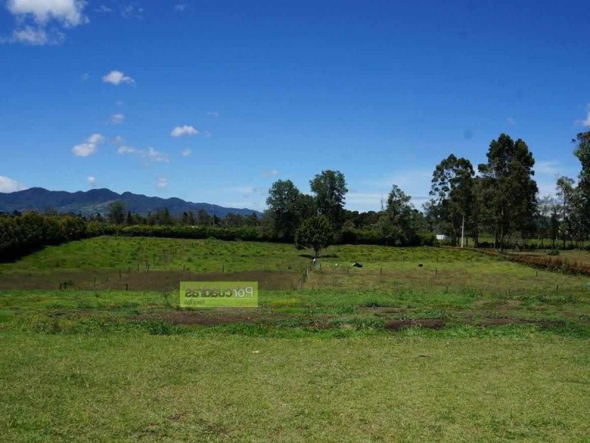 88m² Land in Antioquia, Colombia No. 687