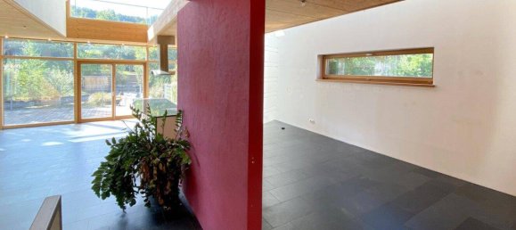 7-Zimmer Haus in Kirchstetten, Austria, Nr. 256649 15