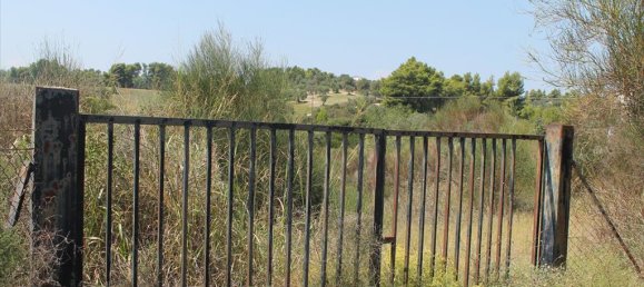 فندق في Chalkidiki, Greece 4025متر مربع رقم 7581 4