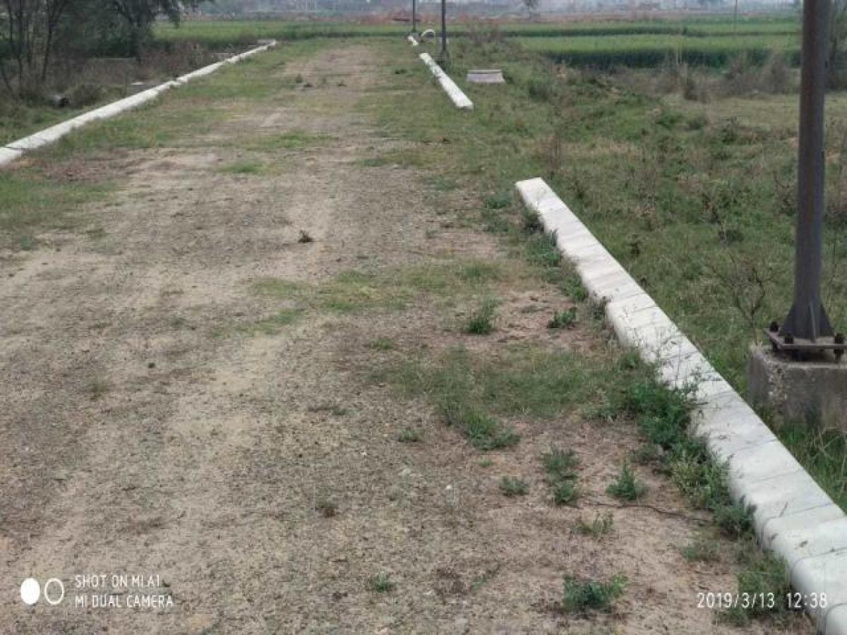 Terreno em Chandigarh, India N.º 31646