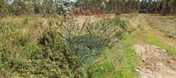 Terreno en Oliveira do Bairro, Portugal 5600 m² No. 66078 3