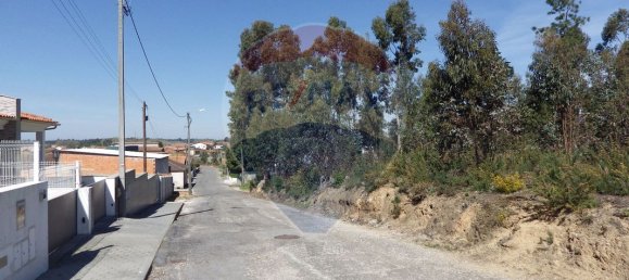 Terreno en Oliveira do Bairro, Portugal 5600 m² No. 66078 7