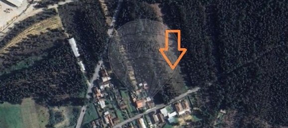 Terreno en Oliveira do Bairro, Portugal 5600 m² No. 66078 11