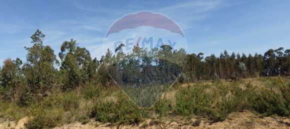 Terreno en Oliveira do Bairro, Portugal 5600 m² No. 66078 5