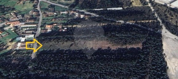 Terreno en Oliveira do Bairro, Portugal 5600 m² No. 66078 9