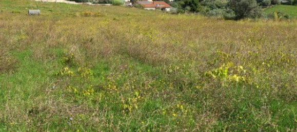 10000m² Land in Velletri, Italy No. 110743 3