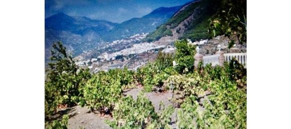 4 bedrooms House in Alcaucin, Spain No. 144840 7