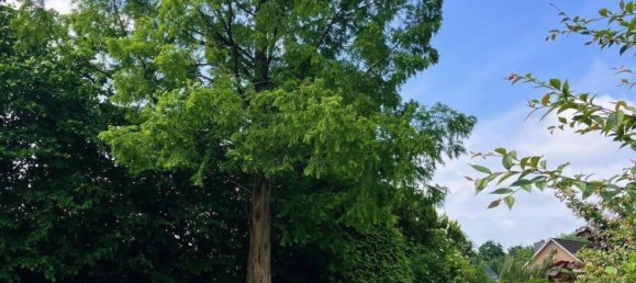 6-Zimmer Haus in Schleswig-Holstein, Germany, Nr. 98953 6