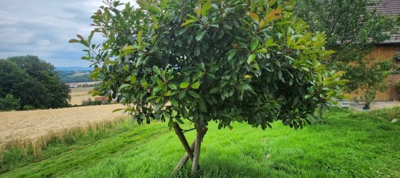 2 غرف نوم مزرعة في Herford, Germany رقم 85713 7