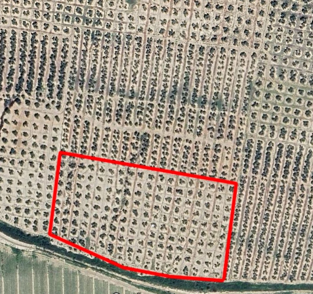 Grundstück in Andalusia, Spain, Nr. 160197