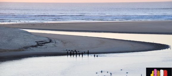 5 غرف نوم منزل في Moliets-et-Maa, France رقم 305599 7