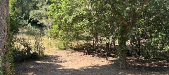 5 غرف نوم منزل في Moliets-et-Maa, France رقم 305599 5